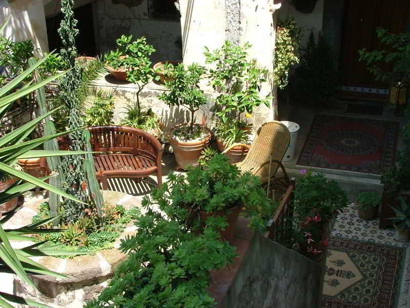 Orchid Corner Guesthouse Meta Exterior photo