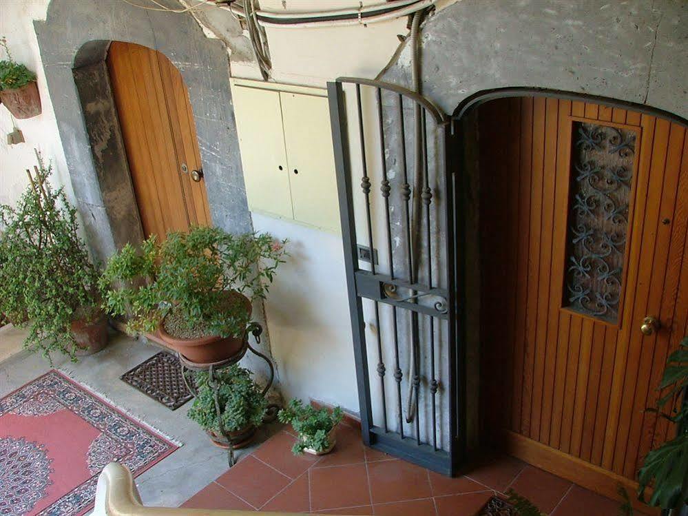 Orchid Corner Guesthouse Meta Exterior photo